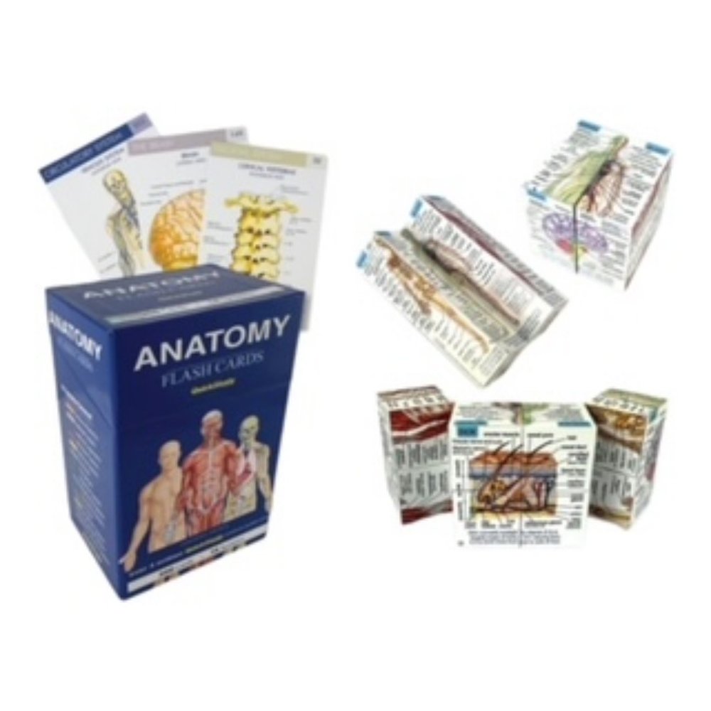 Anatomy (Quickstudy (Flash Cards)) - Cards By BarCharts, Inc. - Picture 7 of 8